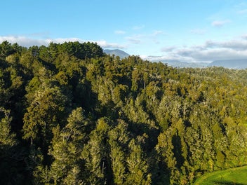 Image 1 of 20
