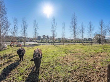 Modern Lifestyle | Country Setting, Town Close