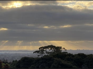 This could be your new view! Freehold section