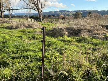 Secure your own Kiwi 1/4 acre dream!