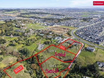 For Sale – Prime Flat Bush Development Opportunity