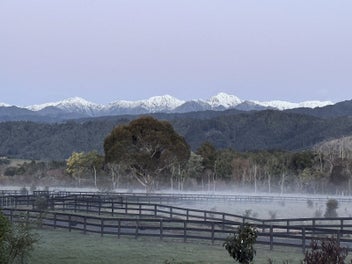 Image 1 of 39