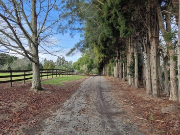 This generous property has multiple opportunities!
