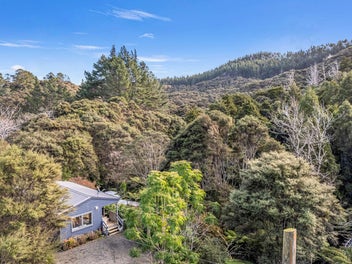 Native Wonderland - New Price