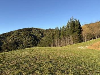 Elevated Luxury, Minutes from Nelson