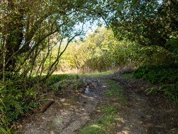 A slice of Peel Forest paradise!