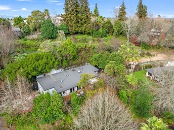 Where Birds Sing and City Noise Fades