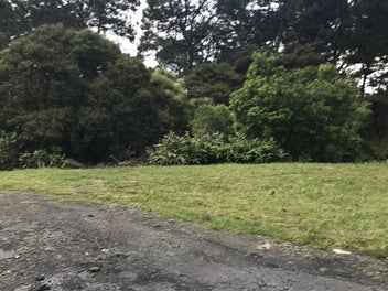 Image 1 of 1