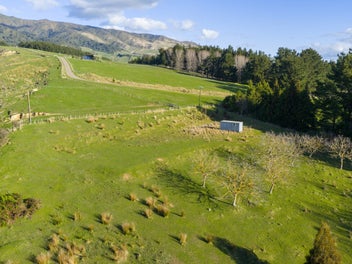 29 acres