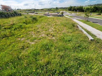 Image 1 of 17