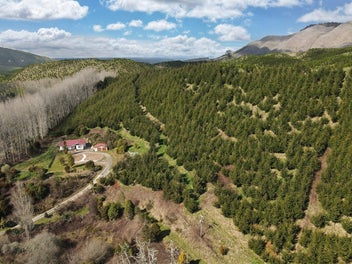 Character Home With Investment Twist