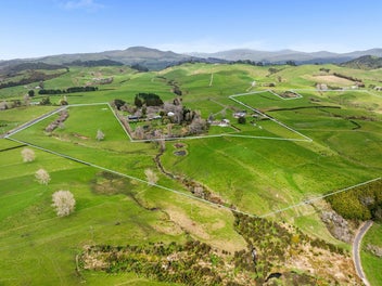 Profitable Pastures in Waihi