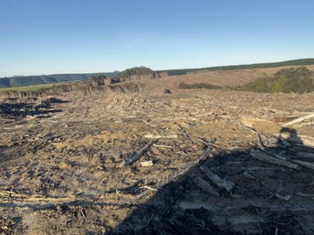 Be in for the long haul