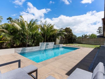 Hold Your Horses… This One’s a Showstopper!