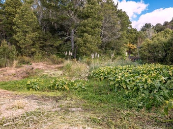 Two Sections Side-by-side!