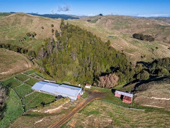 Arahiwi Cottage with QEII Bush