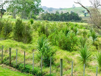 Harbour views and sunsets!