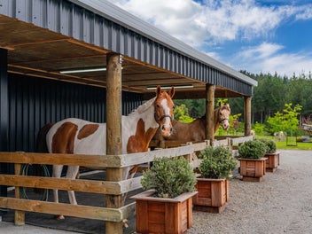 Equestrian Lifestyle In Superb Location