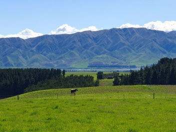 Discover Your Dream Lifestyle Block