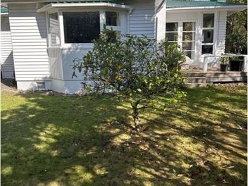 Image 1 of 7