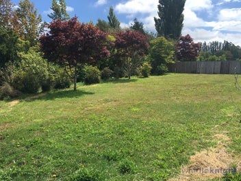 Simply the Market's Best Offering!