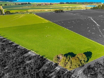 Love the Location - Lifestyle Living Awaits