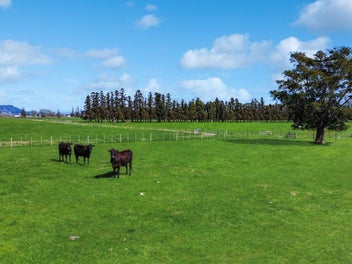 0.5 ha Thornton lifestyle block