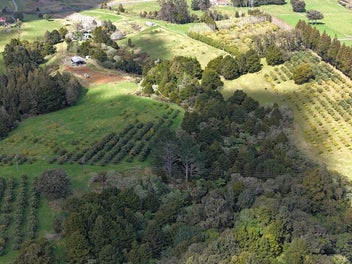 Rare Blend of Natural Beauty and Future Potential!