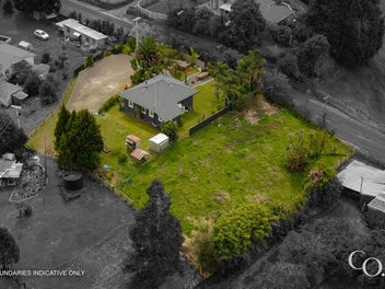 The Lifestyle Starter