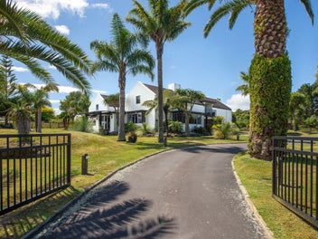 New Beginnings for a New Family