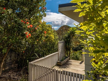 Easy Island living in central Surfdale