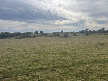 Coastal Charm in Chesterfield