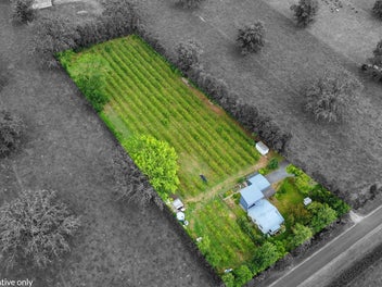 Entry-level Kaipaki - Must be sold!