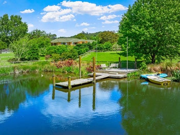 Matakana - A walk in the park