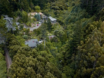 Image 1 of 50