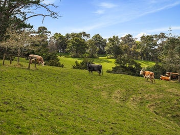 Farm-ready lifestyle block with stunning views