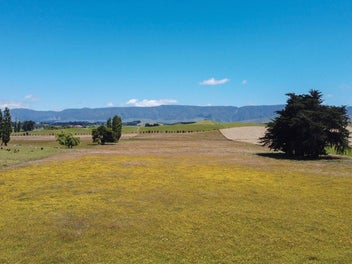 3.8 Hectare Opportunity