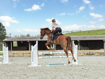 EQUESTRIAN ESTATE - INCOME POTENTIAL