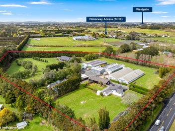 Three legal homes, significant income + 3ha
