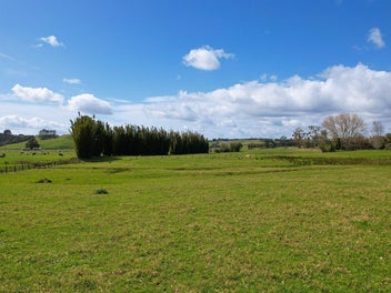 Image 1 of 11