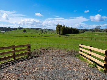 Image 1 of 11