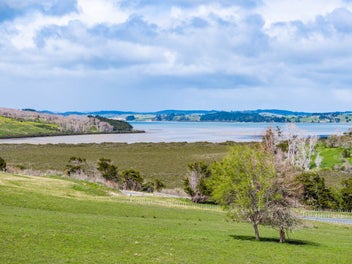 3.2ha lifestyle block