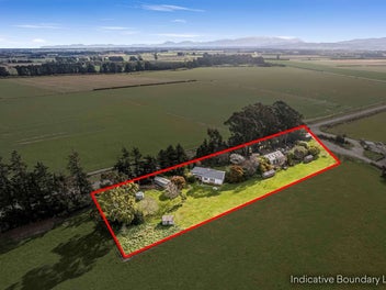 Renovators delight with a future that's bright!