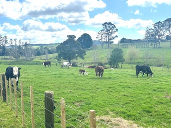 A Charming, Character filled 3.9 ha - (9.8 acres)