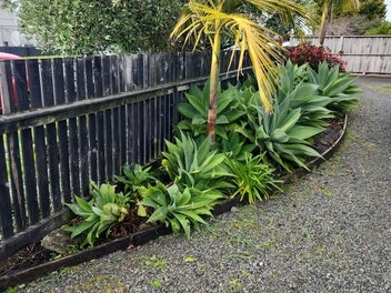 Image 1 of 27