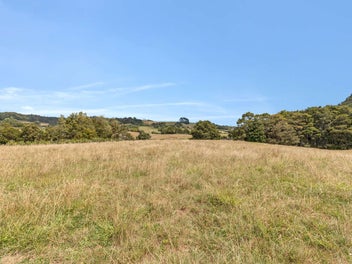 2.06 Hectares of Pure Potential - New Price