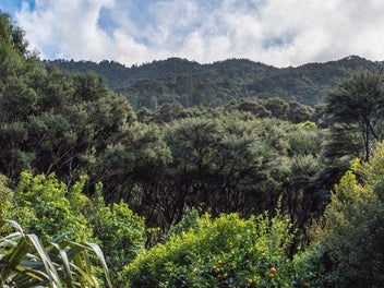 Marunui Conservation Living – Share 15