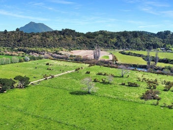 13.6 ha support block or maize