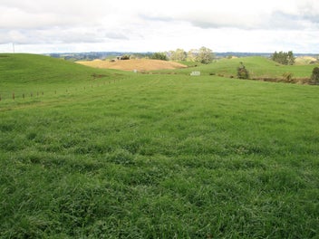 Image 1 of 15