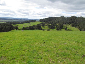 Image 1 of 30